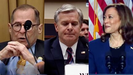 FBI Chief Wray Asked About DEI Attacks on Kamala Harris — During Trump Assassination Hearing